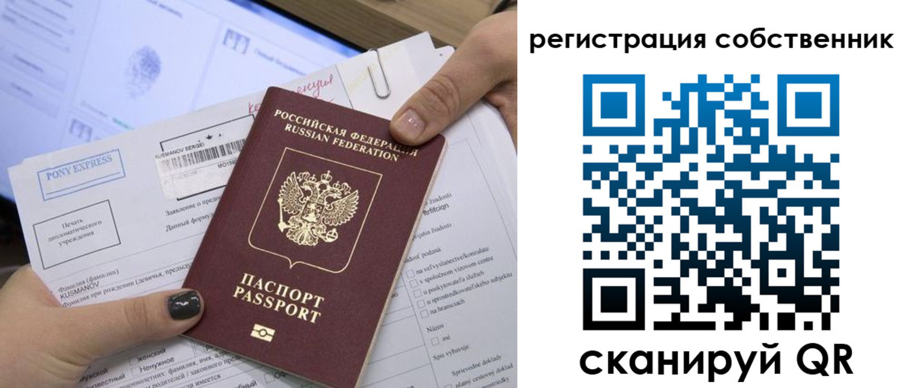 прописка поиск в Светлограде